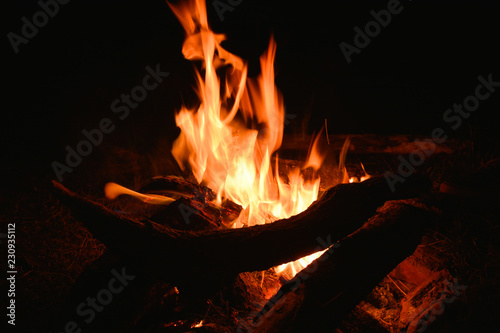 Bonfire in winter
