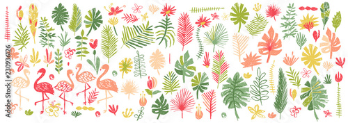 Tropical flower and flamingo collection, hand drawn vector illustration isolated on white background. Jungle floral and fauna set, exotic plant leaf and bird kit in doodle style