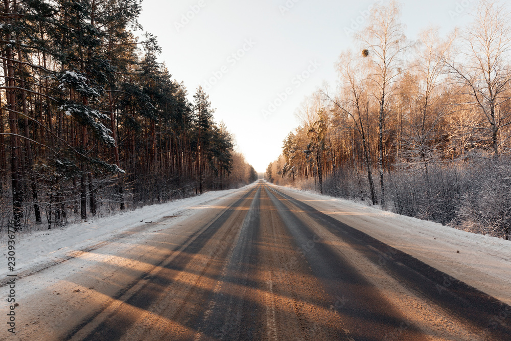 Fototapeta premium Winter forest, close-up