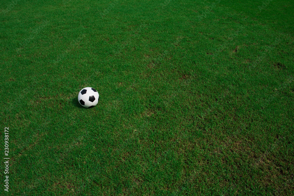 soccer ball on grass with stadium background soccer ball on grass with stadium background