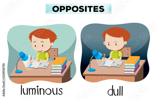 Opposites luminous and dull