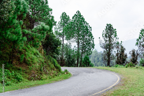Indian mountain roads with tree