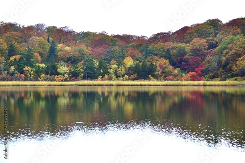 八幡平大沼のカラフル紅葉