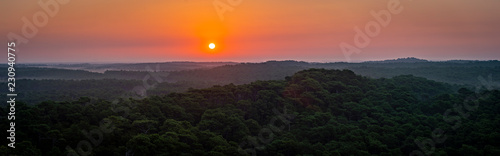 Sunset, Forest from the Dune du Pilat, the biggest sand dune in Europe, France