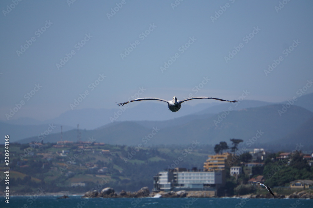 Obraz premium Planeo en Concón