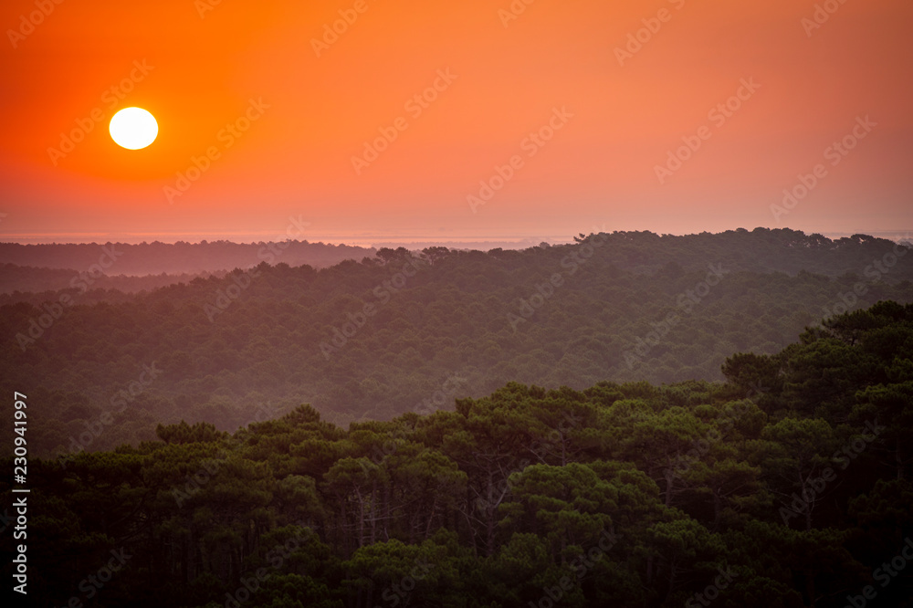 Sunset, Forest from the Dune du Pilat, the biggest sand dune in Europe, France