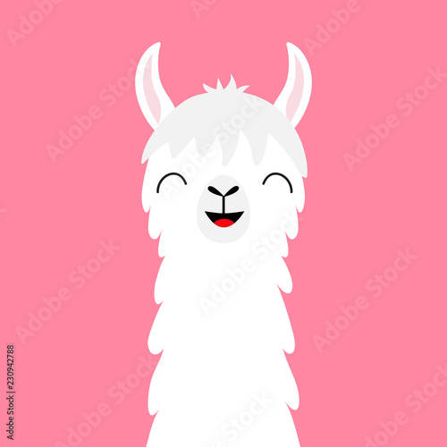 Llama alpaca animal face neck. Fluffy hair fur. Cute cartoon funny kawaii smiling character. Childish baby collection. T-shirt, greeting card, poster template print. Flat design. Pink background.