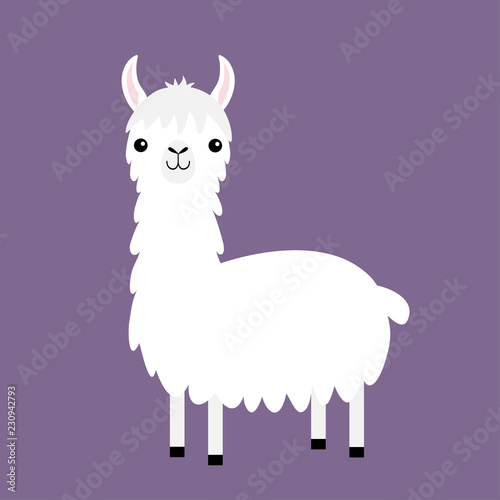 Llama alpaca. Cute cartoon funny kawaii baby character. White fluffy hair fur. Childish collection. T-shirt, greeting card, poster template print. Flat design. Violet background.