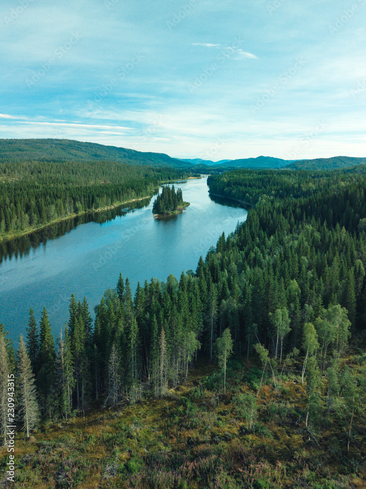 Aerial footage of swedish pine forrest with a river