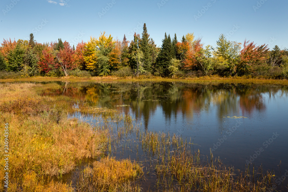 Fall colors on the Magalloway River in Errol, New Hampshire.