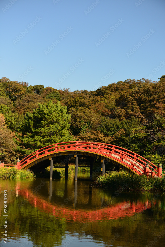 red wood bridge