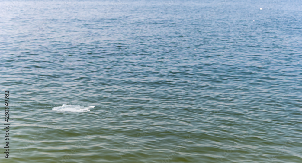 Garbage bag in the sea.