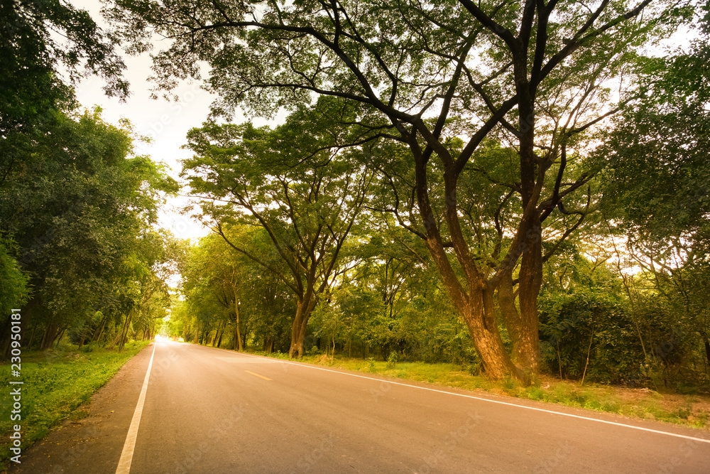Obraz premium New asphalt highway to nature in the scenery at sunset.