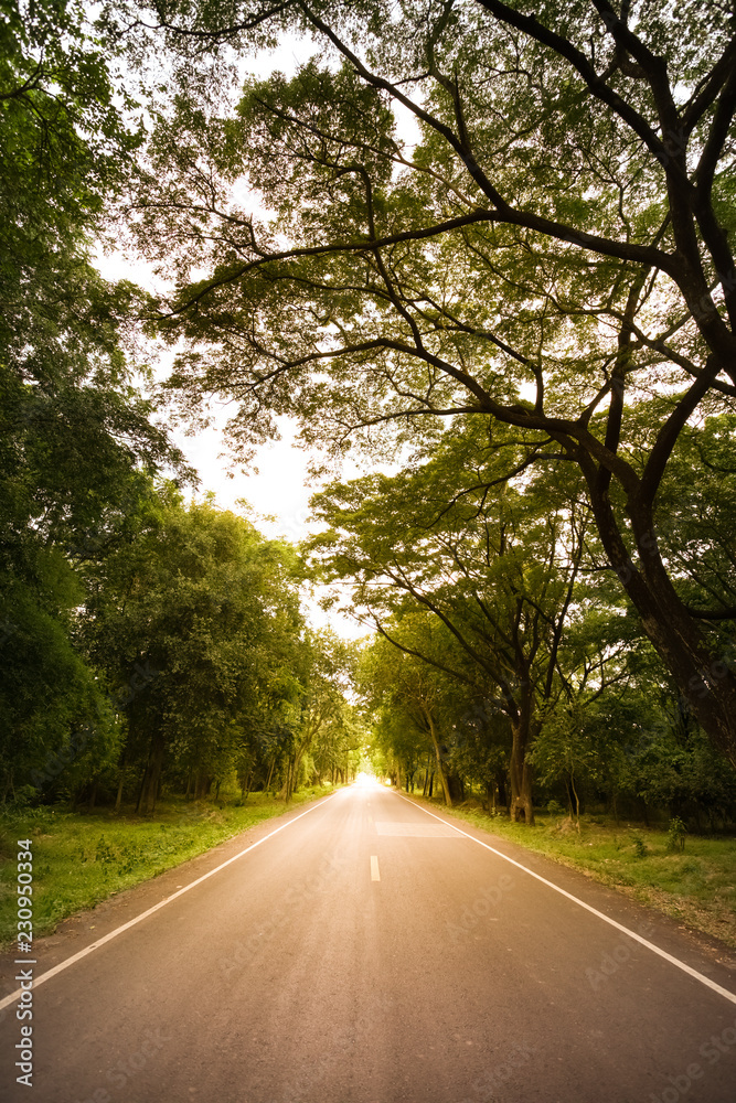 Fototapeta premium New asphalt highway to nature in the scenery at sunset.