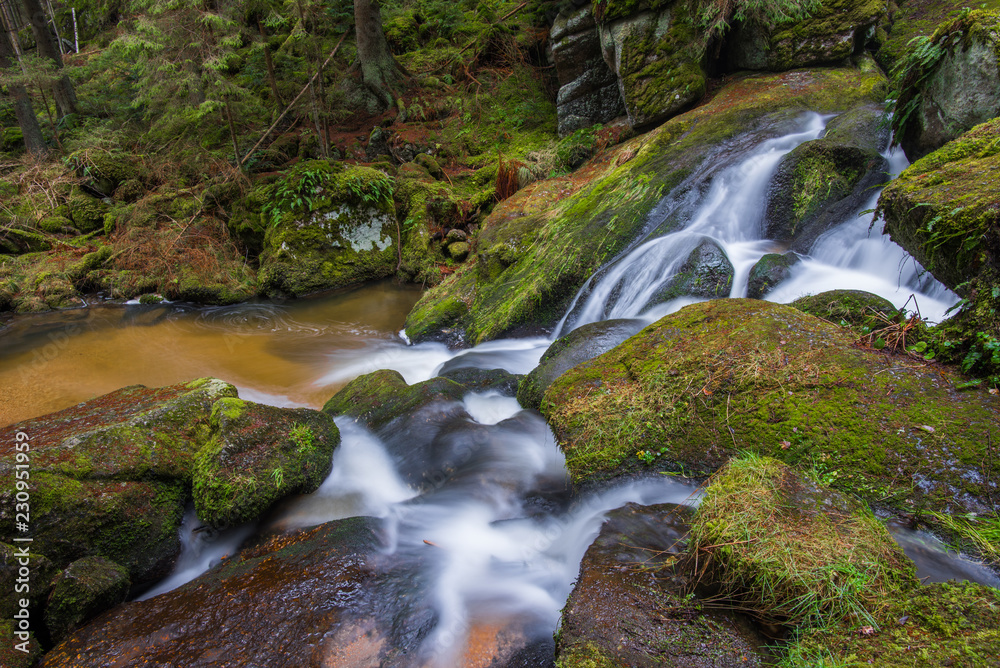 cascades waterfall forest