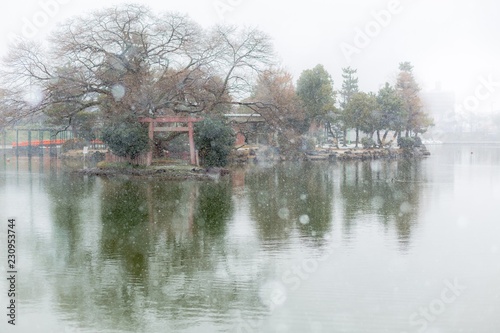 冬景色の天王川公園