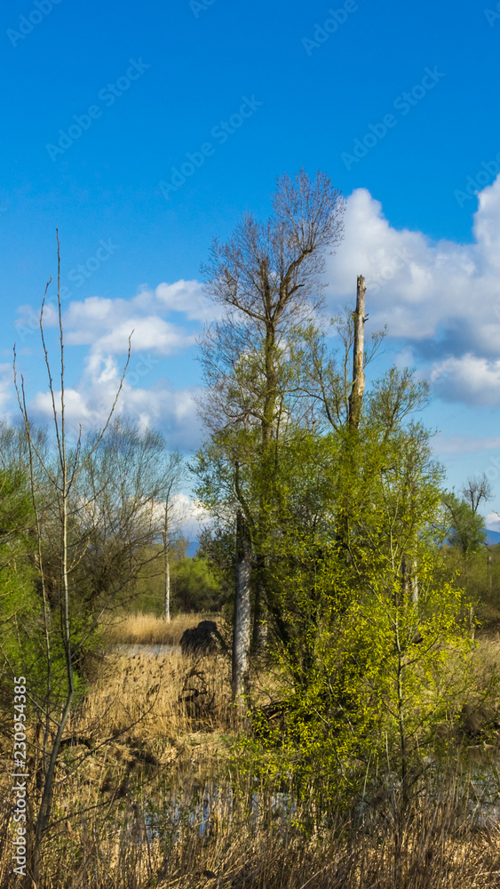Smartphone HD wallpaper of beautiful view near the isar mouth - Moos - Bavaria - Germany Smartphone HD wallpaper of beautiful view near the isar mouth - Moos - Bavaria - Germany