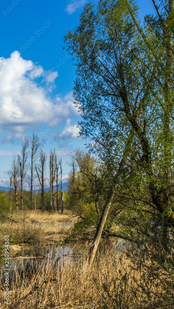 Smartphone HD wallpaper of beautiful view near the isar mouth - Moos - Bavaria - Germany Smartphone HD wallpaper of beautiful view near the isar mouth - Moos - Bavaria - Germany