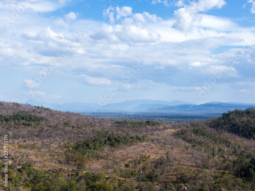 Arid climate forest in Thailand © Photogrape