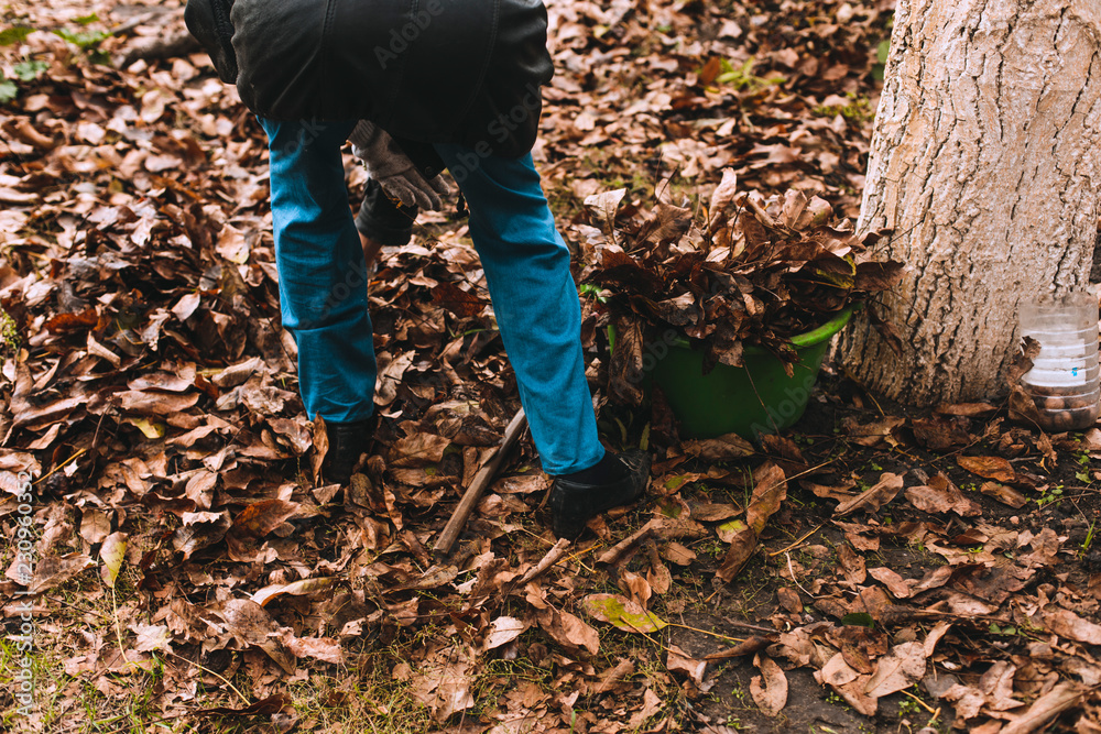 Woman cleaning up fallen leaves with rake. Autumn work. Cloudy October day outdoor shot Woman cleaning up fallen leaves with rake. Autumn work. Cloudy October day outdoor shot