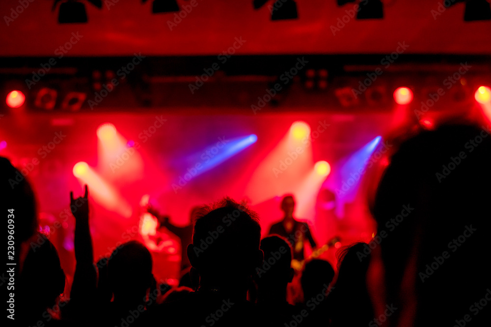 custom made wallpaper toronto digitalatmosphere at the concert