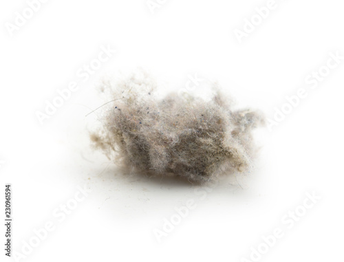 Common house hold dust, high magnification macro, isolated on white. Shallow depth of field.