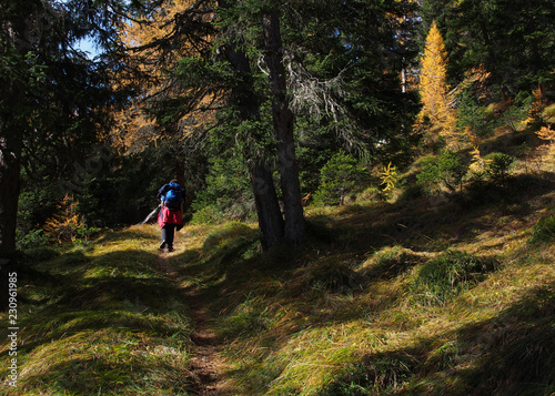 Wanderer im herbstlichen Wald, Parc Ela, Schweiz
