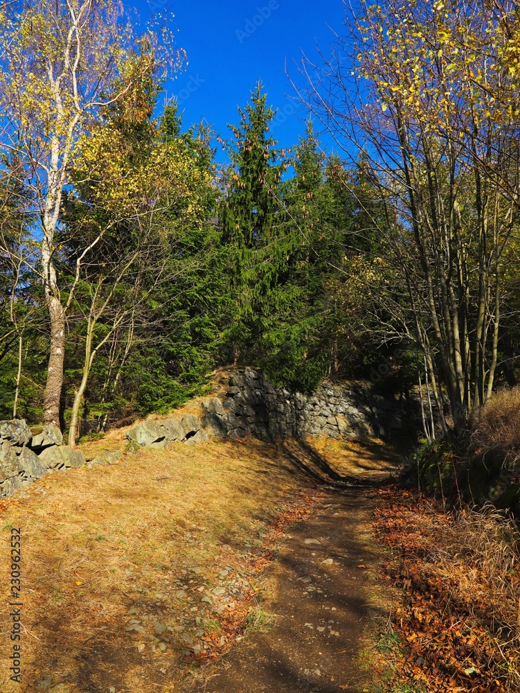 Fototapeta premium wanderweg auf dem pöhlberg