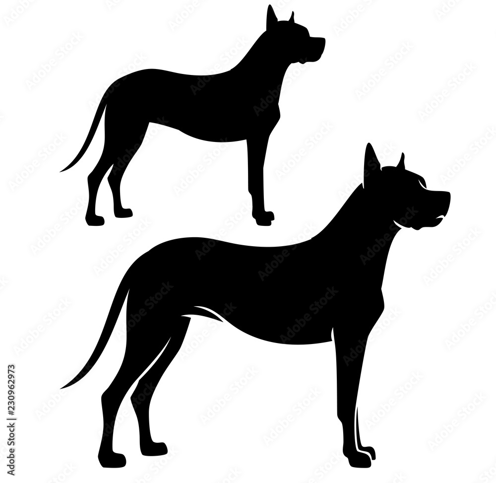 standing great dane dog side view black vector silhouette