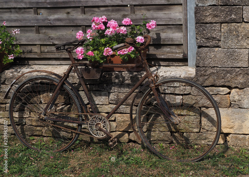 Altes Fahrrad mit Blumenständer