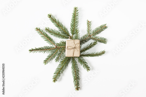 Christmas time. Present on branches and white background. Modern style