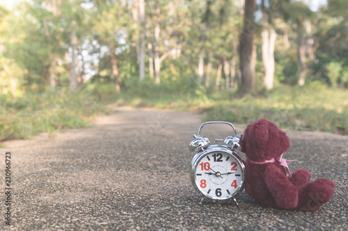 teddy bear sit back retro alarm clock on concete road in garden with tone