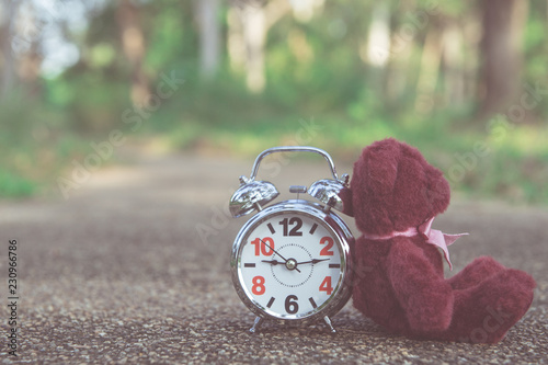 teddy bear sit back retro alarm clock on concete road in garden with tone