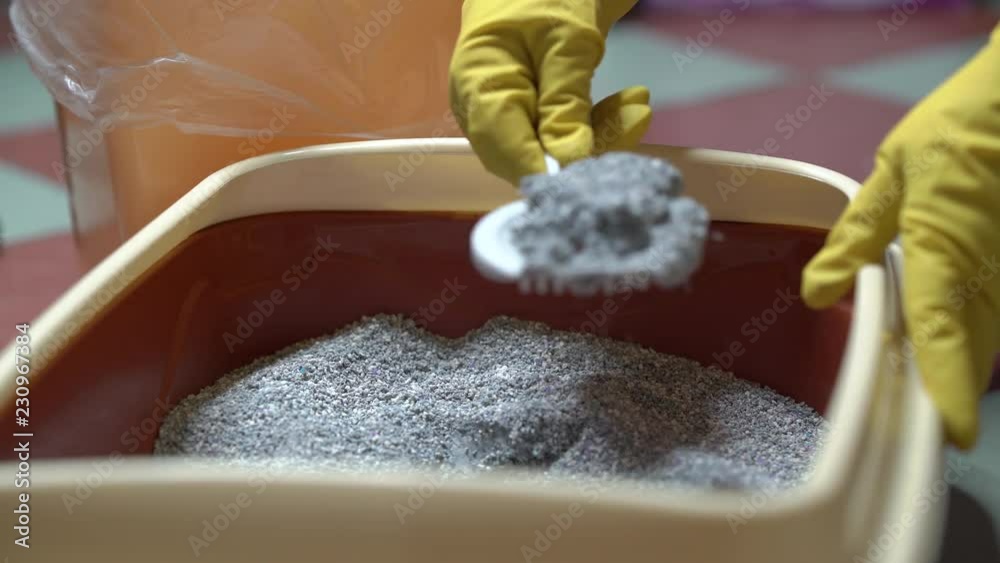 Cleaning cat litter box filled with clumping litter. Scooping out