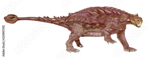 タルキア 恐竜 装盾類 いわゆる鎧竜の仲間で白亜紀後期に生存した 今のところ白亜紀最後の鎧竜といわれている アンキロサウルス 科ではサイカニアによく似た体型 イラストは幅の広い頭骨の特徴のバランスに注意した Ilustracion De Stock Adobe Stock