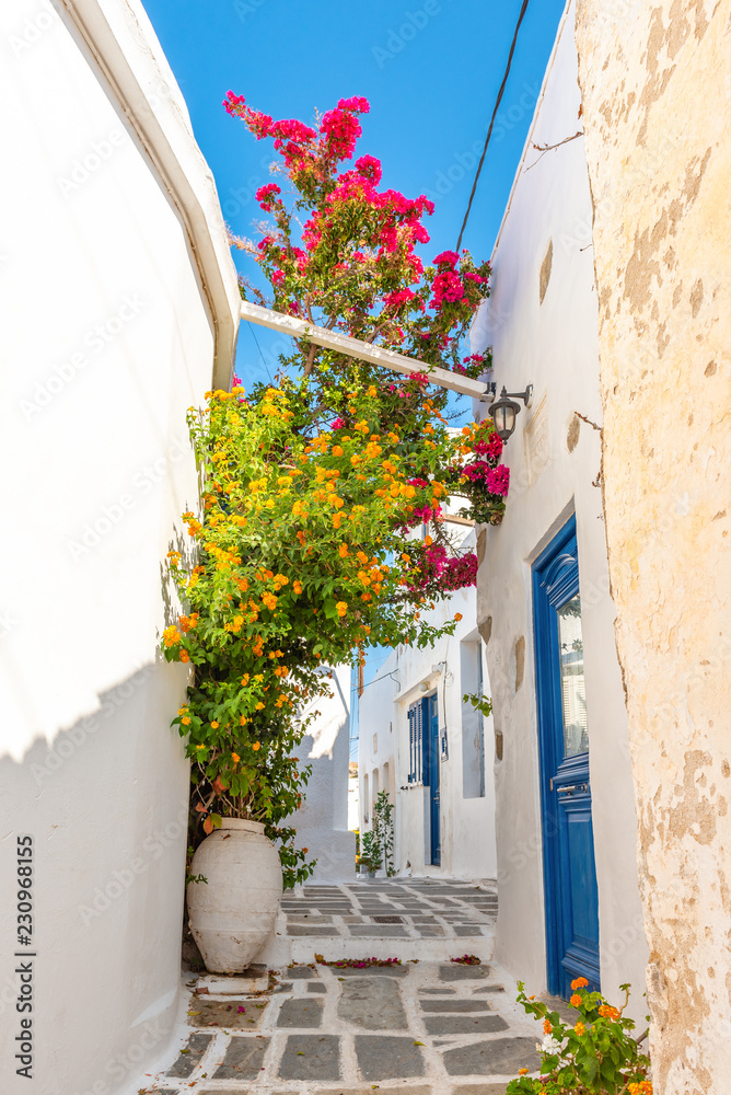 Fototapeta premium Greek street with summer flowers in Chora. Serifos island. Cyclades, Greece.