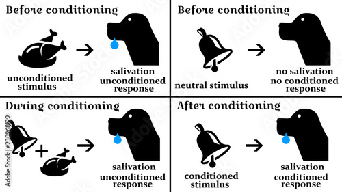 pavlov psychology response photo