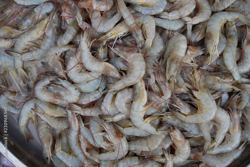 Pile of freshness prawn in fresh seafood market. Background and texture of raw shrimp.