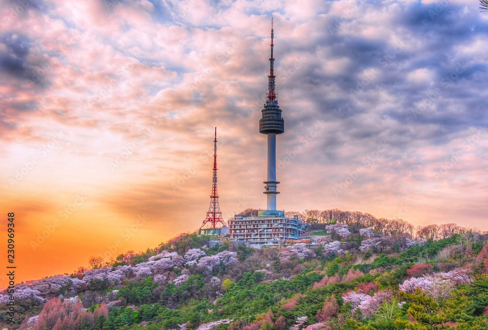 Namsan tower in spring at seoul south Korea