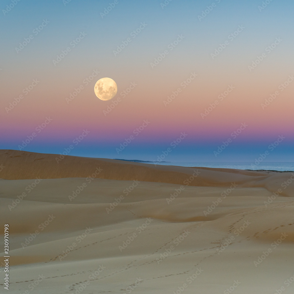 Fototapeta Sunset and moon rise over the sand dunes of Stockton Beach, Australia.