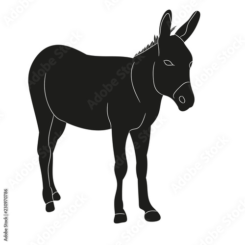 vector, isolated silhouette of a donkey standing