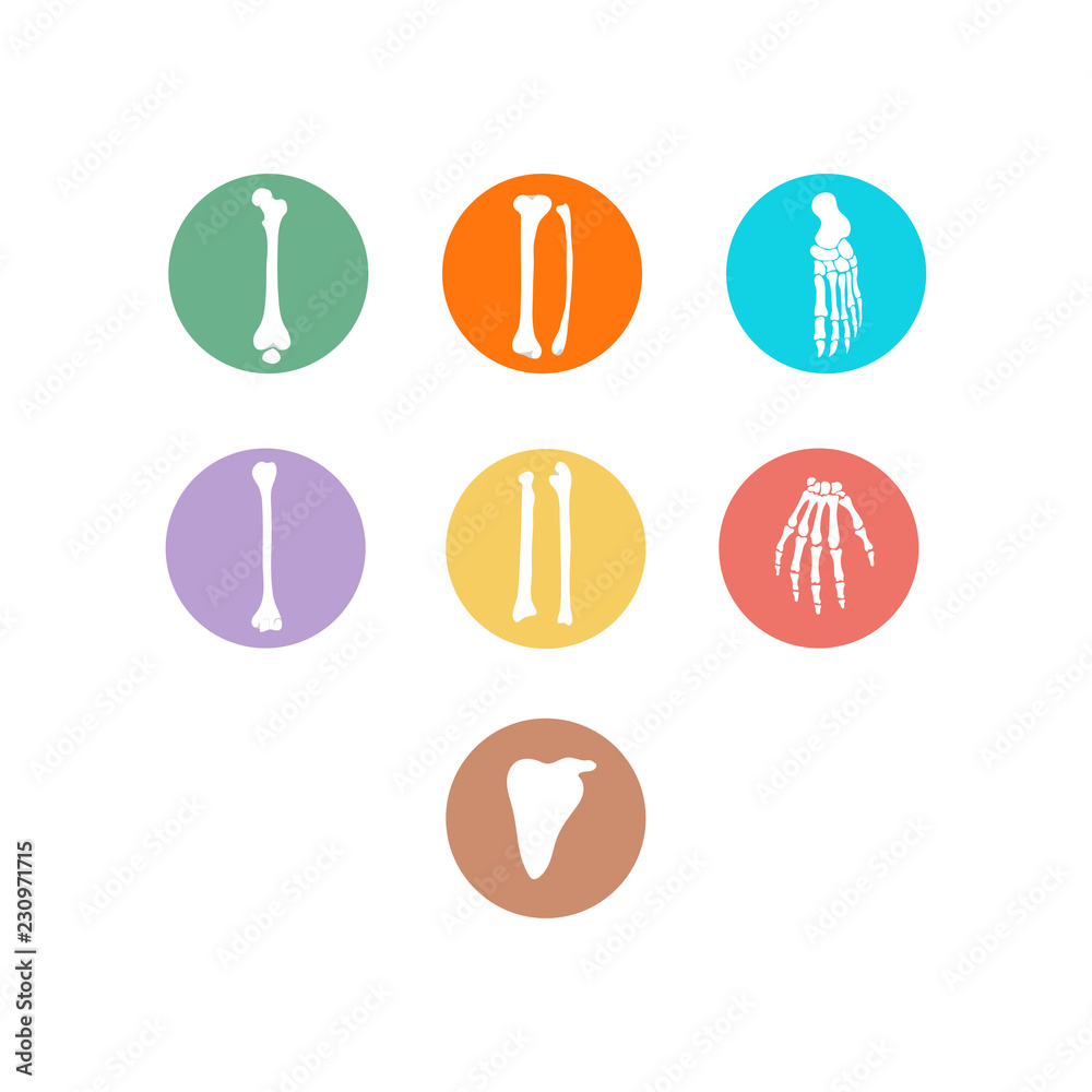 Human bones icon set