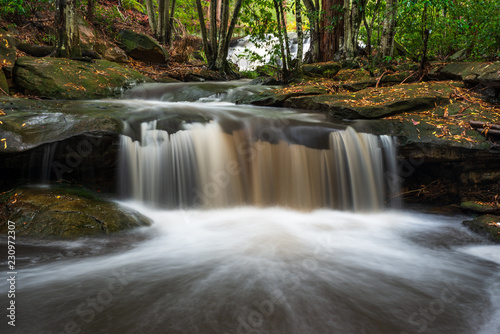 waterfall in forest. Nyrippin Creek, Calicoma Trail, Sydney, Australia.