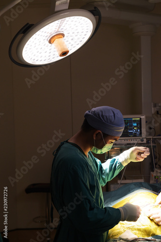 Fototapeta Naklejka Na Ścianę i Meble -  veterinarian surgery in operation room 