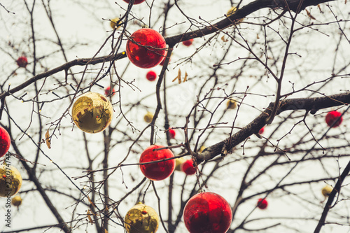 Decorations for Christmas holidays in Moscow. Golden and red balls on tree branches.
