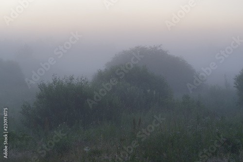 fog sunrise
