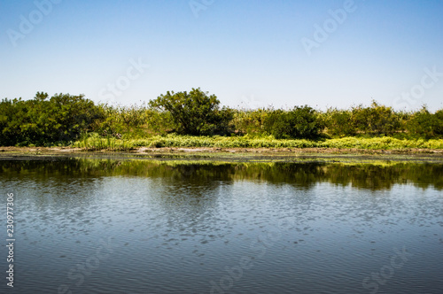 Delta Danube trip - August colors