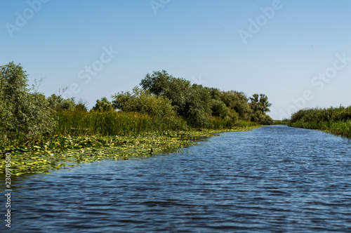 Delta Danube - August colors