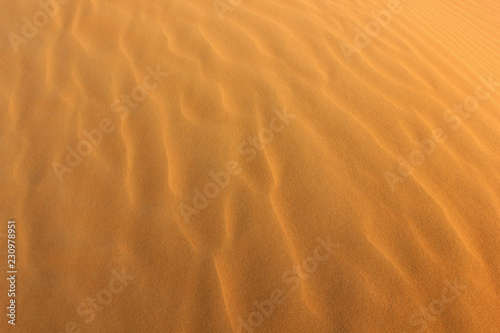 Desert yellow sand, dune and wave outdoor © elenvd