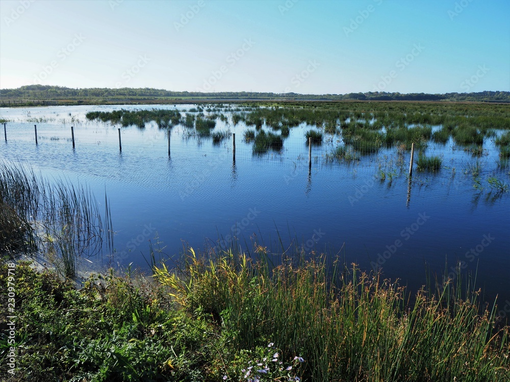 View over the wetlands at St Aidan's Nature Park, Yorkshire, England